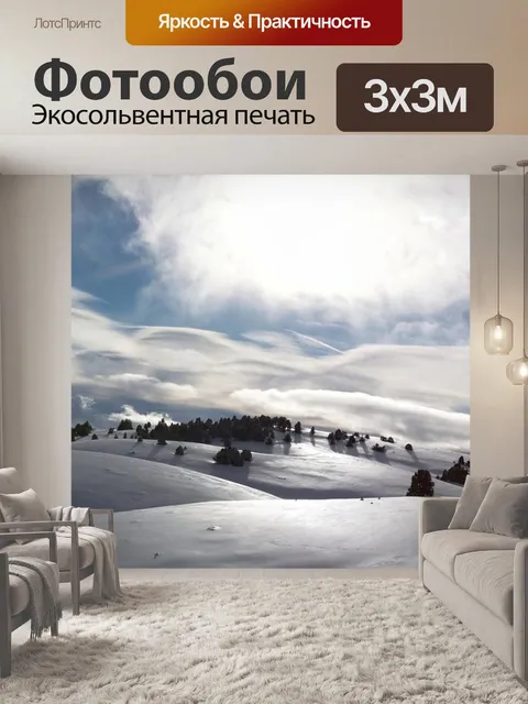 Фотообои Цвет