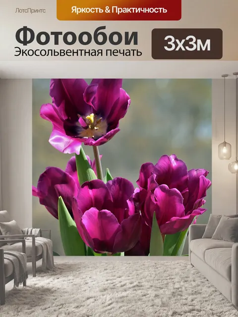 Фотообои Фиолетовые тюльпаны