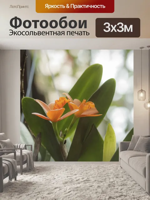 Фотообои Цветы