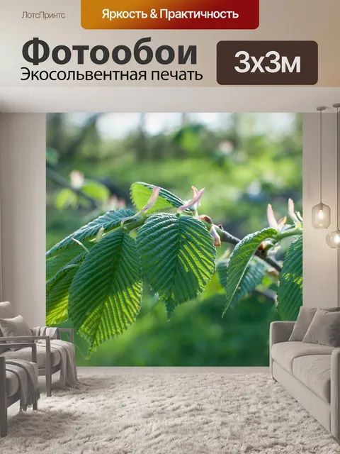 Фотообои Листья