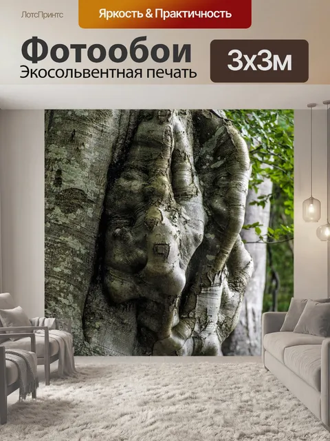 Фотообои Природа