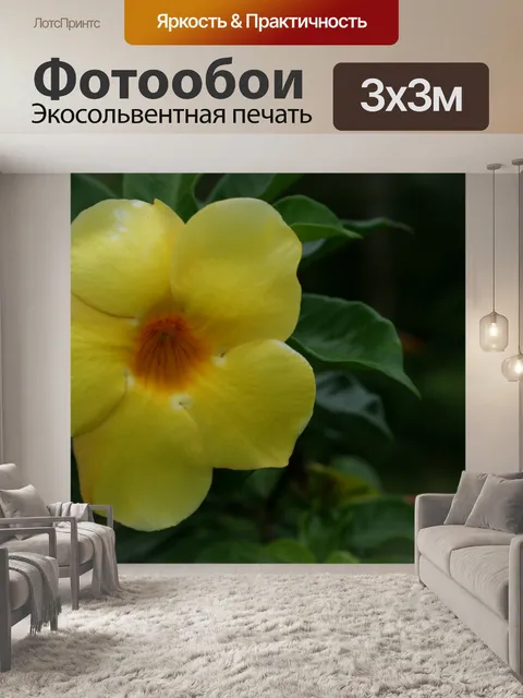 Фотообои Коста-Рика Цветы