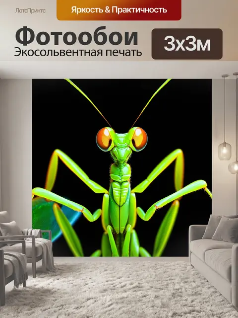 Фотообои микроскопический снимок зеленого богомола