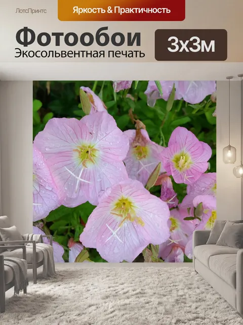 Фотообои Розовый