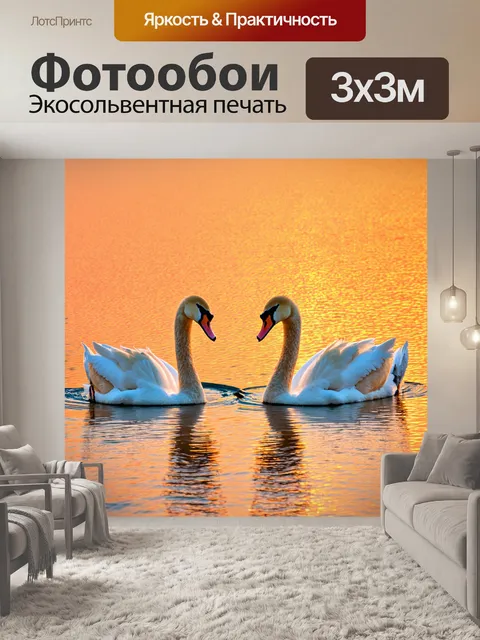 Фотообои лебеди на озере на закате