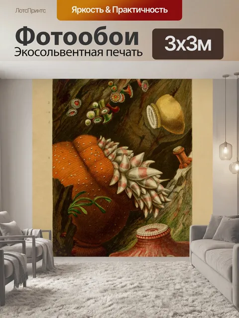 Фотообои Кораллы, морские анемоны, винтажное иску