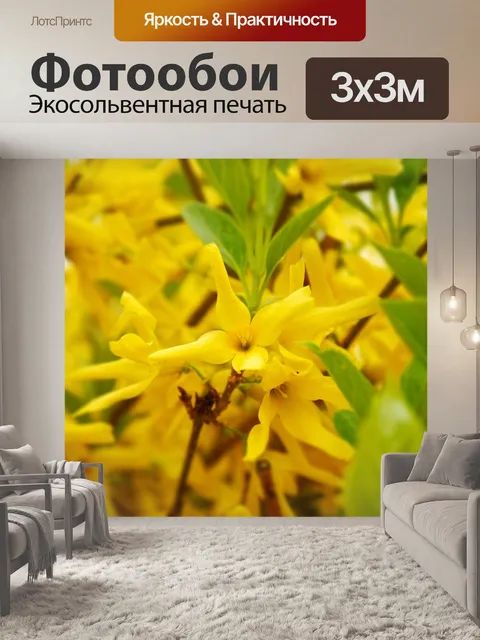 Фотообои Форсайтия