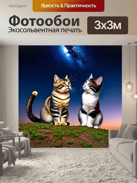 Фотообои кошки, смотрящие на звездное небо с вершины холма