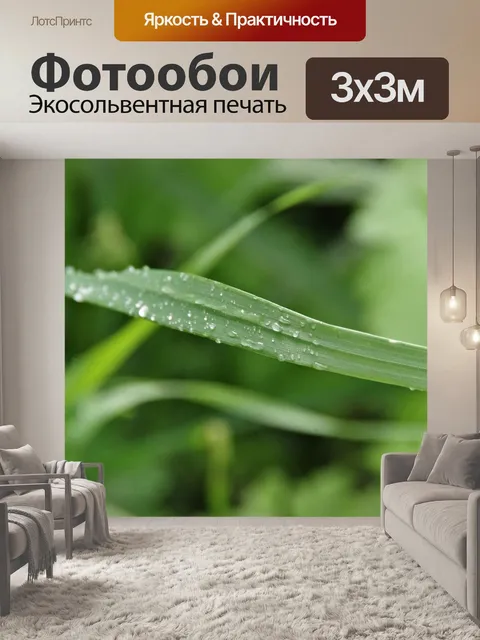 Фотообои Серебряные капли росы на траве