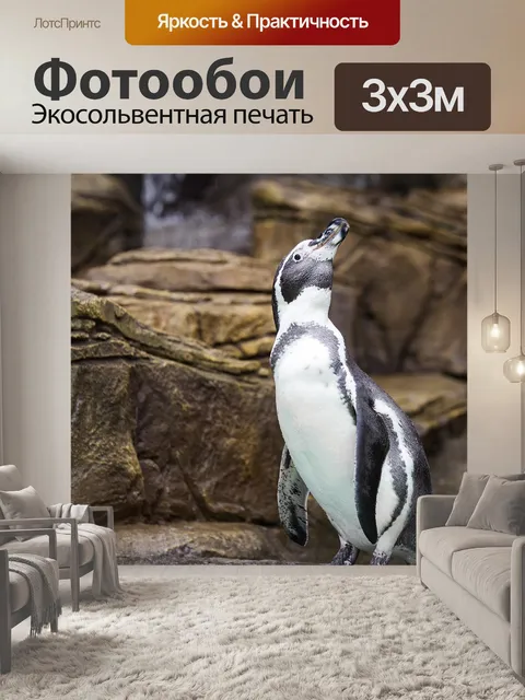 Фотообои Пингвин