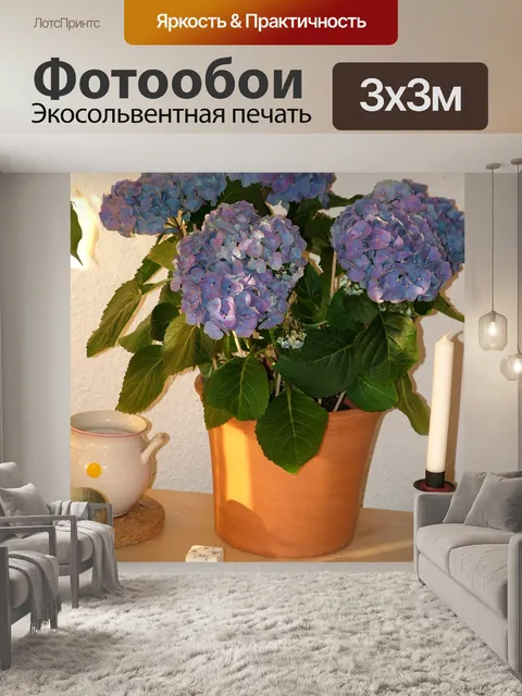 Фотообои Цветочный горшок