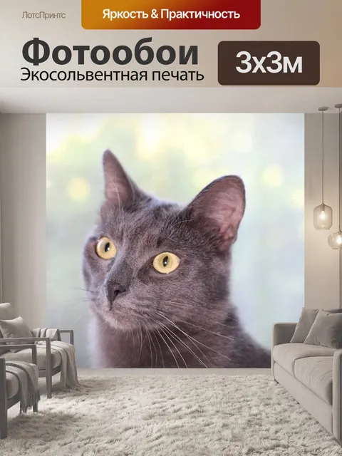 Фотообои Серый