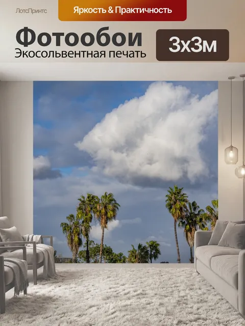Фотообои Пальмы и небо