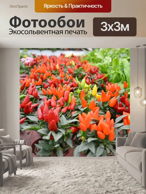 Фотообои Комнатные цветы 12