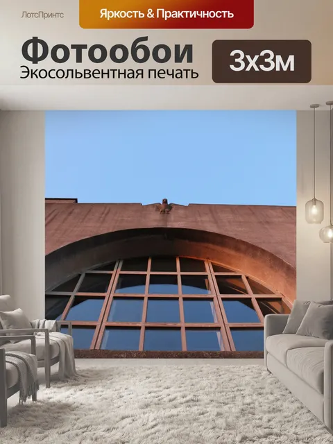 Фотообои Орел смотрит вниз Радио Kootwijk