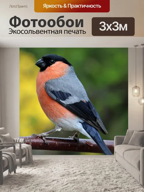 Фотообои Снегирь