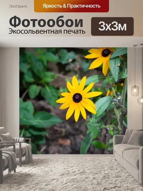 Фотообои Желтый цветок, рудбекия, растение