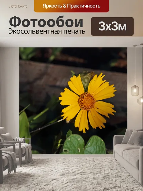 Фотообои ярко-желтая ромашка в саду