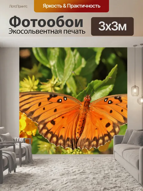Фотообои Залив Fritillary Бабочка крупным планом