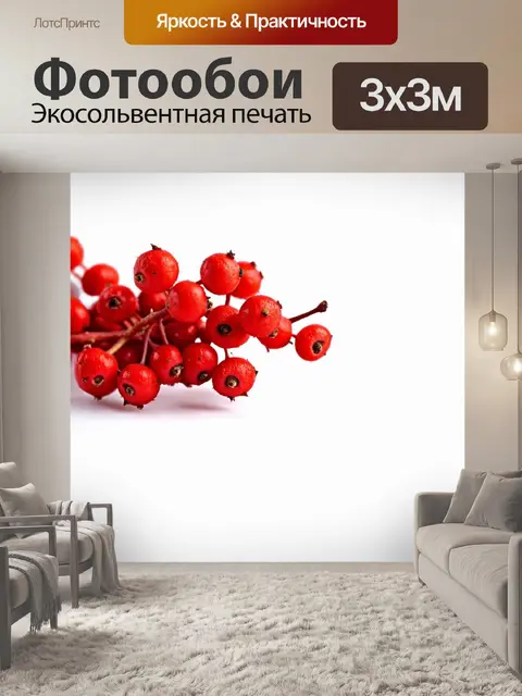 Фотообои группа красных ягод рябины, выставленных на белом фоне, с использованием техники минимализма