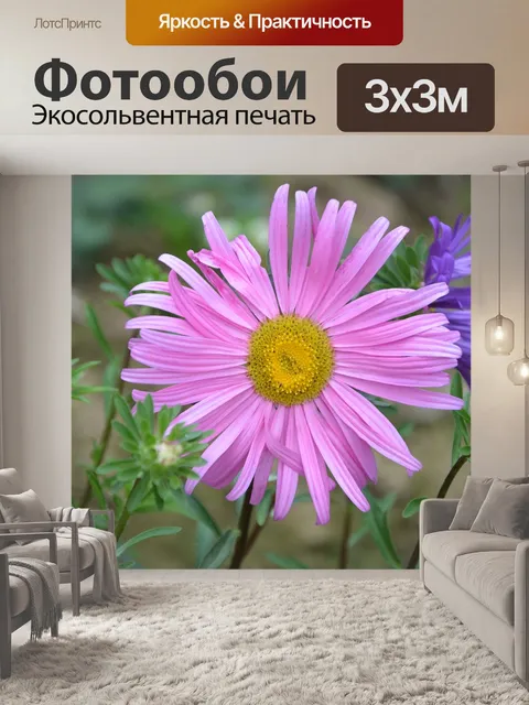 Фотообои Цветок светло-розовый