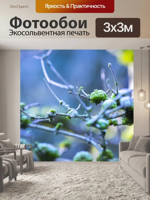 Фотообои Утренний мороз