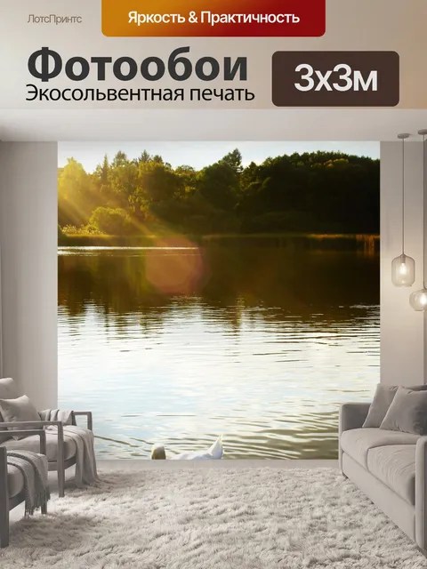 Фотообои Лебедь