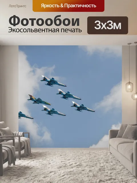 Фотообои Миг 21
