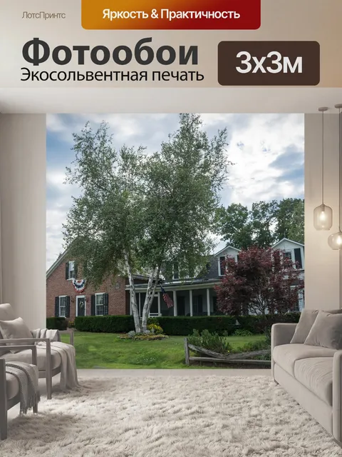Фотообои Традиционный