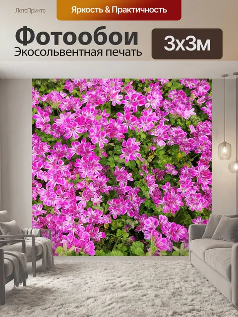Фотообои Красный цветок