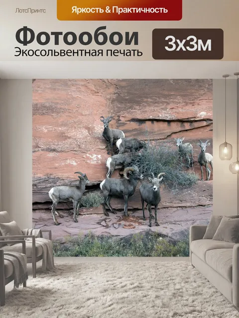 Фотообои Снежный баран