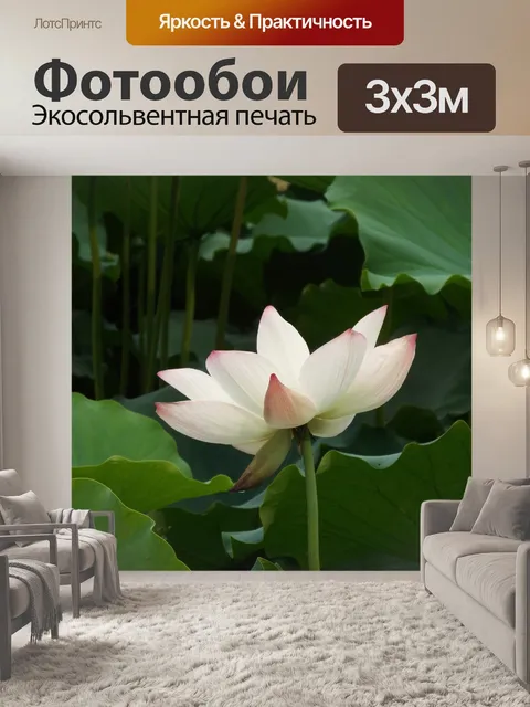 Фотообои Lotus