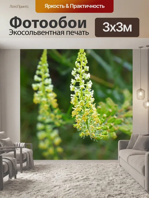 Фотообои Дикий цветок