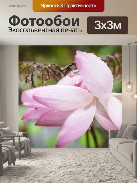 Фотообои Цветы