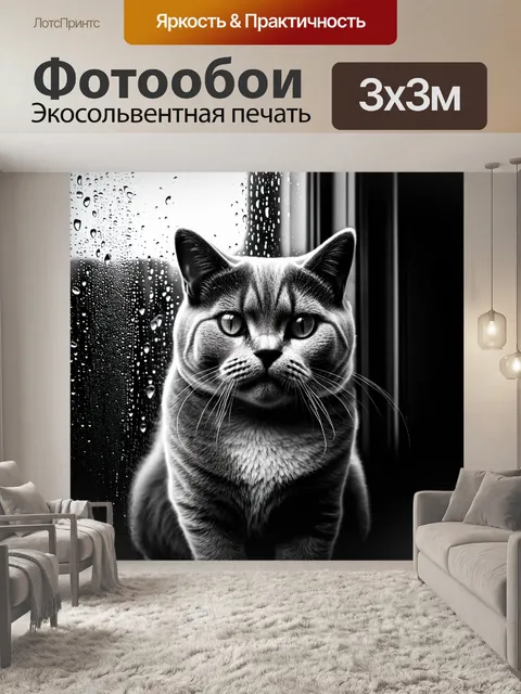 Фотообои британская короткошерстная кошка, наблюдающая за дождем через стеклянное окно, с каплями воды на стекле