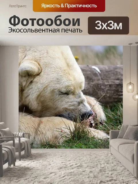 Фотообои Полярный медведь