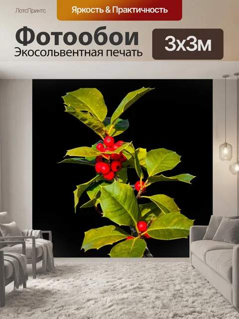 Фотообои Холли
