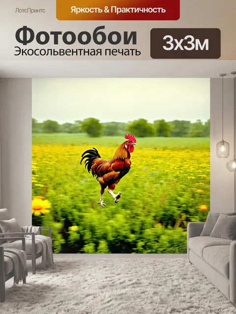 Фотообои петух бежит по росистому