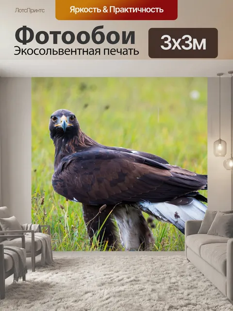 Фотообои Золотой орел