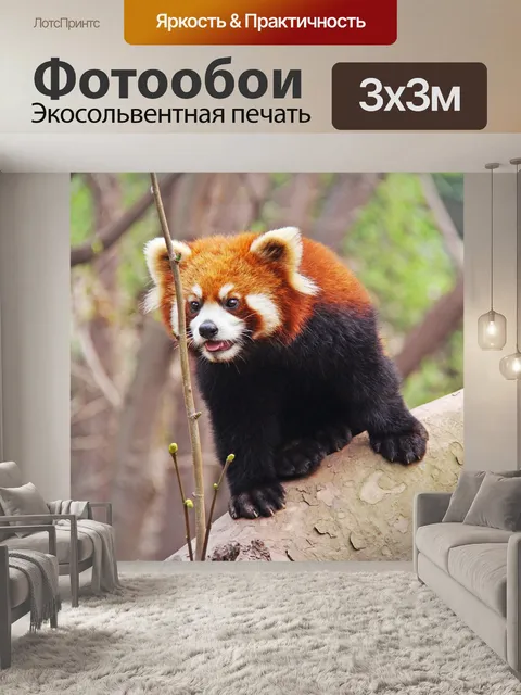 Фотообои Милый