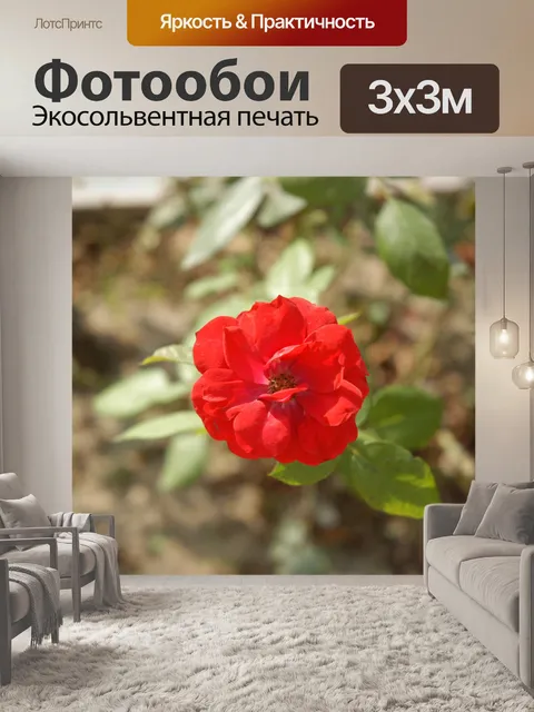 Фотообои красный цветок