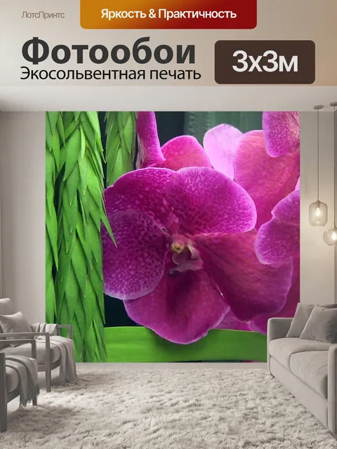 Фотообои Розовые орхидеи
