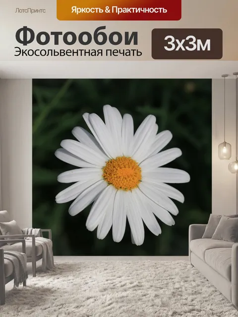Фотообои Дейзи