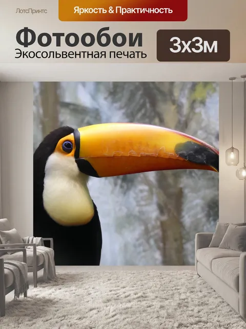 Фотообои Тукан