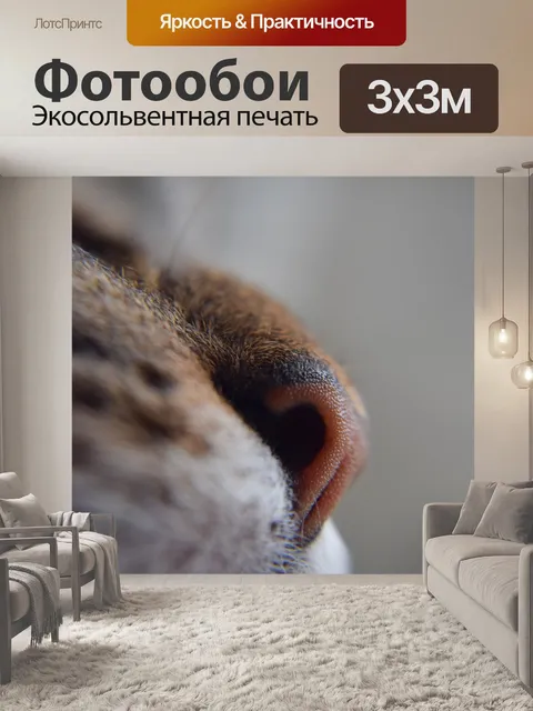 Фотообои Кошачий нос Марко