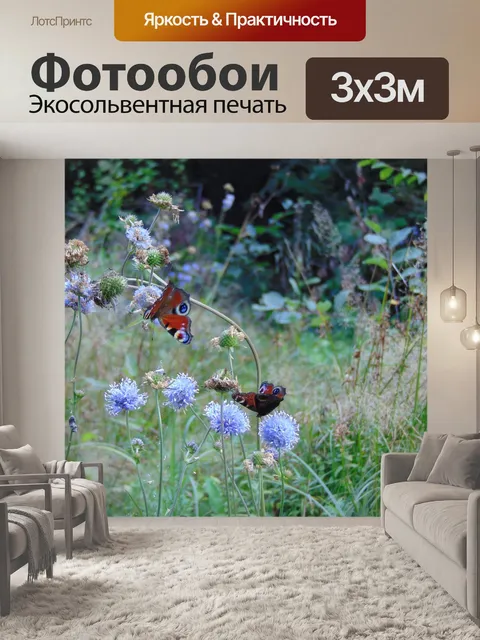 Фотообои Лес
