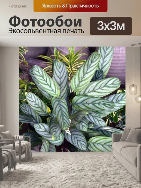 Фотообои Зеленые листья