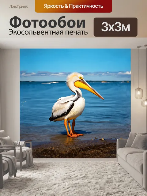 Фотообои кудрявый пеликан с ярким оперением стоит на берегу озера