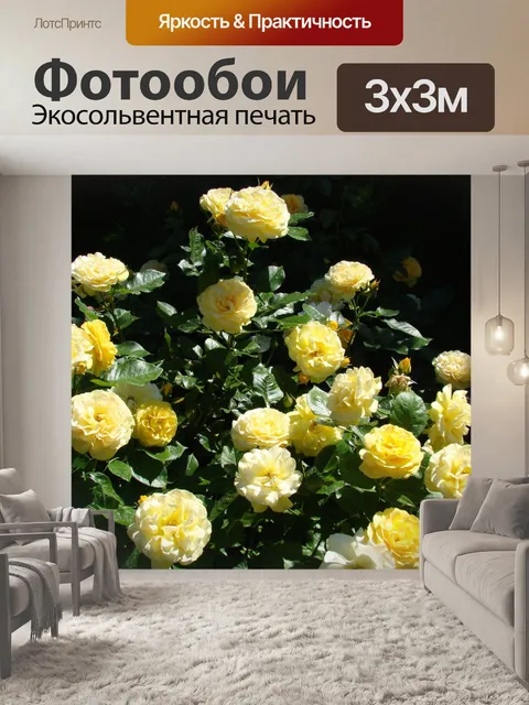 Фотообои Розы