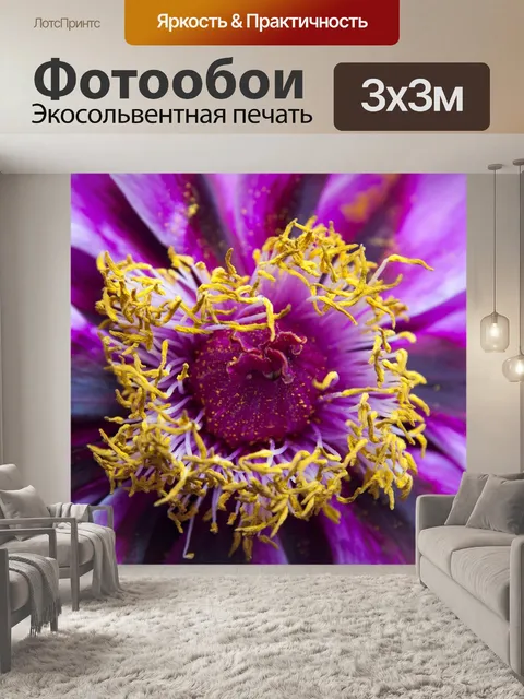 Фотообои Пион